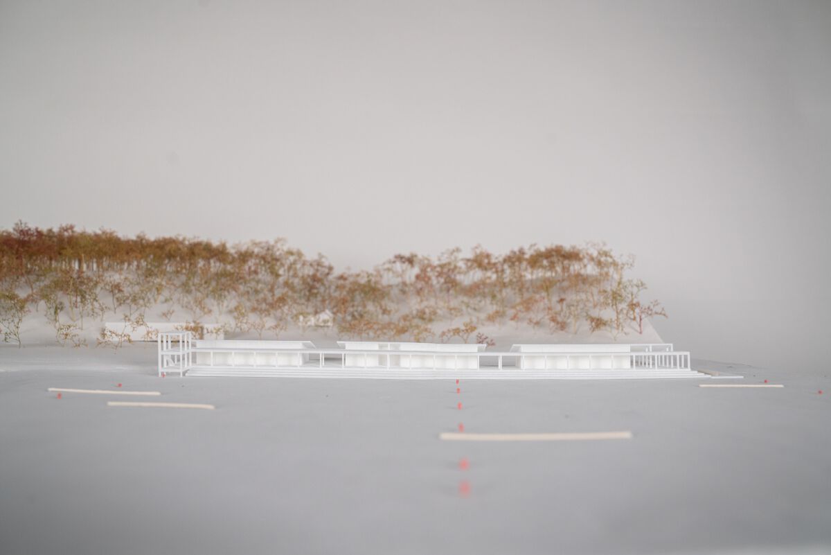 Project image