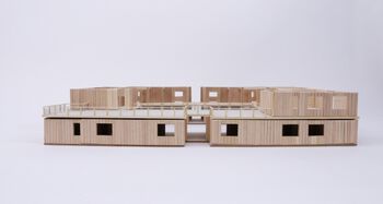 Image may contain: Wood, Scale model, Plywood, Hardwood, Design.
