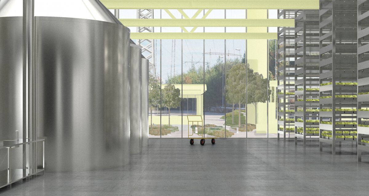Project image