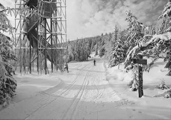 Image may contain: Snow, Winter, Monochrome photography, Freezing, Black and white.