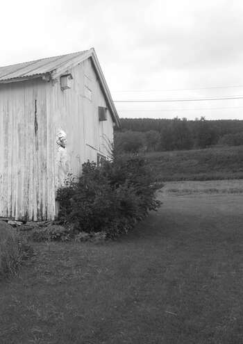 Image may contain: Wood, Monochrome photography, Shed, Rural area, Black and white.