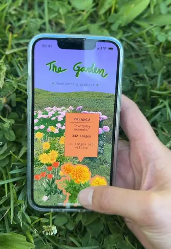 Image may contain: Flower, Yellow, Petal, Garden, Herbaceous plant.