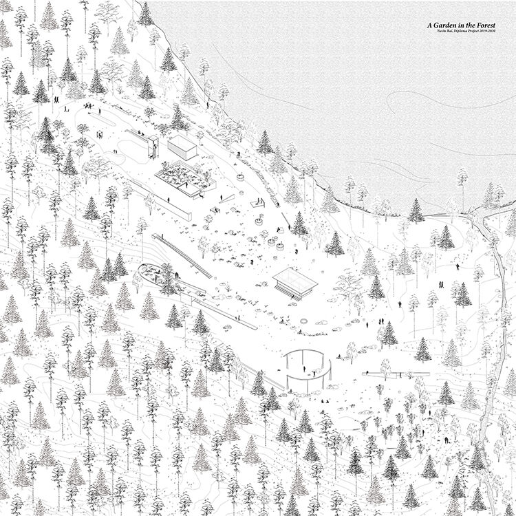 Project image