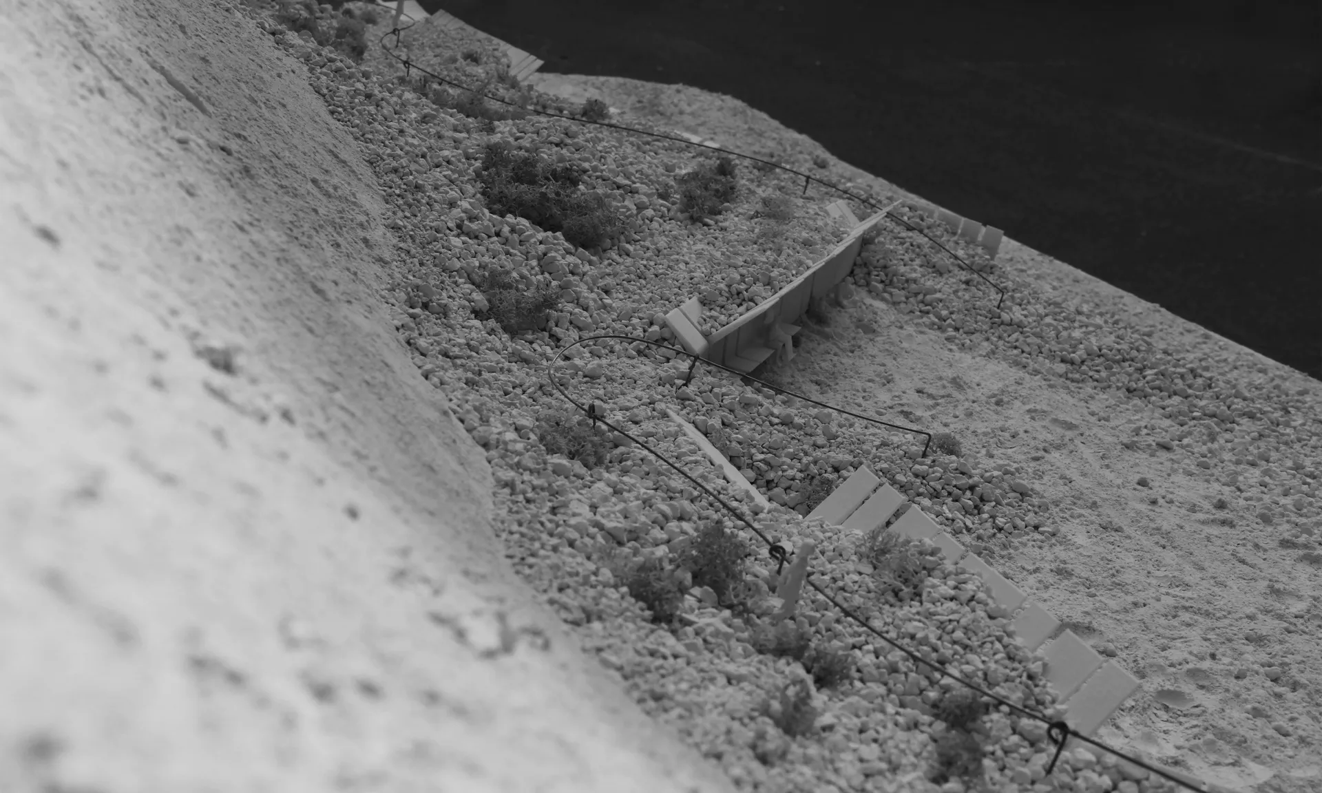 Bildet kan inneholde: monokrom fotografering, monokrom, svart og hvitt.