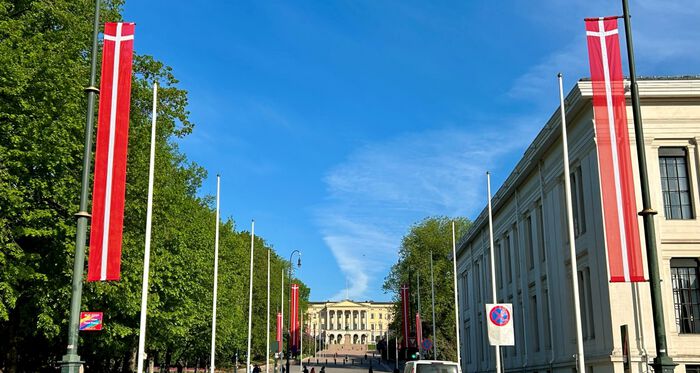 Danske flagg som pryder Karl Johan, gate i Oslo